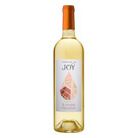 Domaine de Joy Saint André